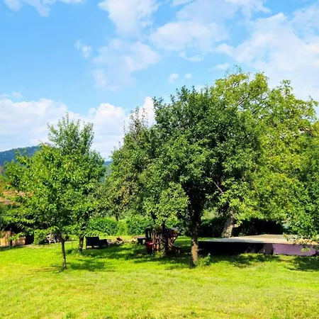 Dom wakacyjny Donauhaus - Natur, Kultur, Entspannung & Sport Aggsbach